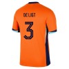 Maglia ufficiale Paesi Bassi De Ligt 3 Casa Euro 2024 per Bambino